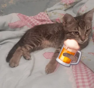 Video sticker 🌟 СтикПон228 :: @stickerpon :: @ :: @fStikBot