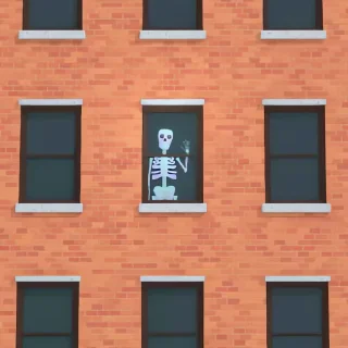 Video sticker 🎭 Anima Sceletonis II @stickersglobal