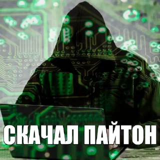 Video sticker 😊 Постирония для программистов @truesabir