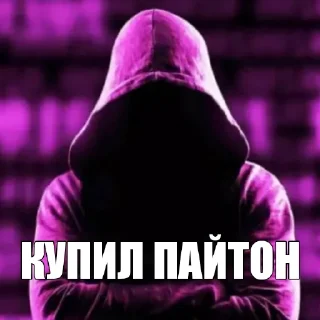 Video sticker 😳 Постирония для программистов @truesabir