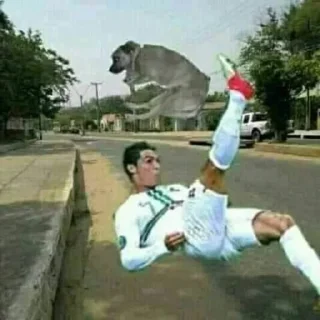 Telegram sticker 🐶 esse é seu idolor