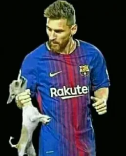 Video sticker 🐶 esse é seu idolor