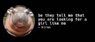 Video sticker ⭐️ Caught in 4k