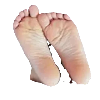 Telegram sticker 🦶 Пятачкі і гача ліца @lapkaspatachkami