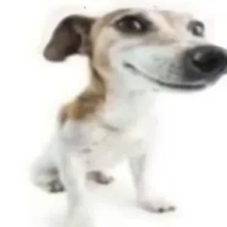 Video sticker 😎 Больше стиков тут: @stikery4