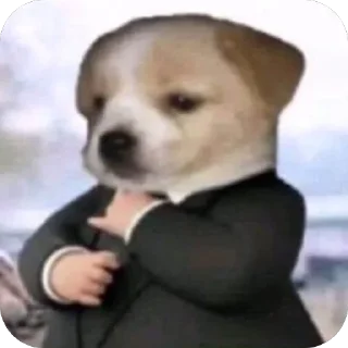 Sticker 💼 factorydoge69