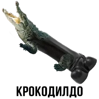 Telegram sticker 🐊 хuy :: @fStikBot