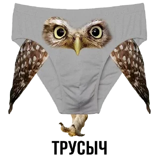 Telegram sticker 🦅 хuy :: @fStikBot
