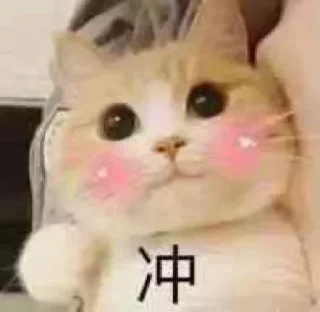Telegram sticker ✊ 早睡早起身体好 @GD_LM