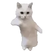 Video sticker 🕺 dinablinEmoji