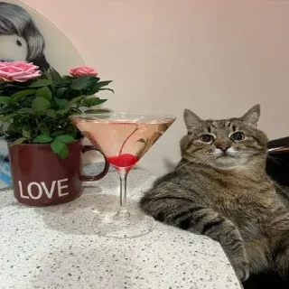 Video sticker 🍒 Больше стиков тут: @stikery4