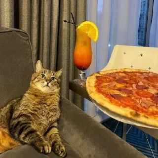 Telegram sticker 🍕 Больше стиков тут: @stikery4