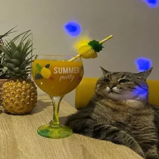 Telegram sticker 🍹 Больше стиков тут: @stikery4