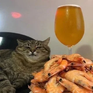 Telegram sticker 🍤 Больше стиков тут: @stikery4