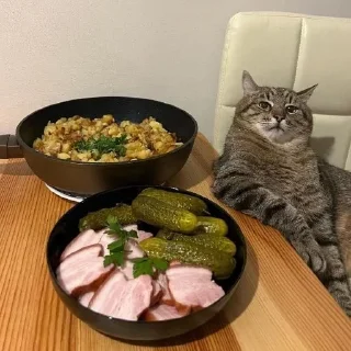 Sticker 🥗 Больше стиков тут: @stikery4