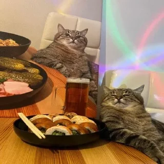 Telegram sticker 🍱 Больше стиков тут: @stikery4