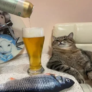 Video sticker 🍺 Больше стиков тут: @stikery4