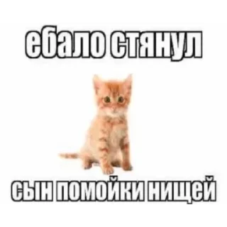 Telegram sticker 😑 Больше стикеров 👉 @stikery_3