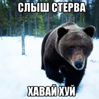 Telegram sticker 😋 Больше стикеров 👉 @stikery_3