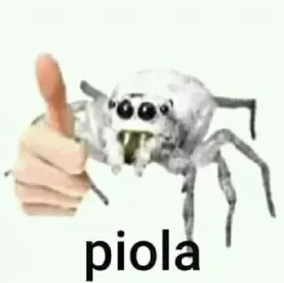 Телеграм стикер 👍 𝐓𝐨𝐧𝐢 𝐏𝐚𝐜𝐤 𝟐