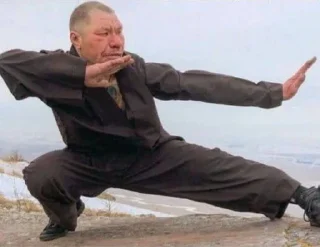 Video sticker 🤩 Шаша @TgEmodziBot