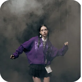 Telegram sticker 🎢 Шаша @TgEmodziBot