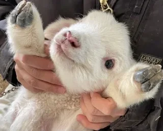 Video sticker 🌟 Больше стикеров тут: @stikery_emodzi_memy