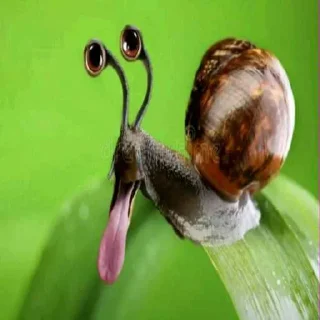 Video sticker 😳 трахоел - @quadenXD ➡️ @EmojiRuBot