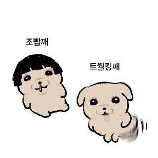 Video sticker 🙂 kkaedeuki깨득이(인스타그램)