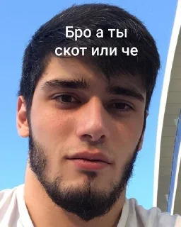 Sticker 🤫 скофилд