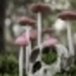 Telegram sticker 🍄 gribo @nsfwgribo