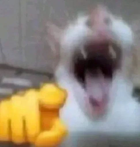 Telegram sticker 😂 @JeloOFT🔹🚬 وینستون آبی