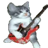 Video sticker 🐱 cats ➜ @emoji1
