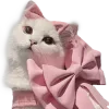 Video sticker 🐱 cats ➜ @emoji1