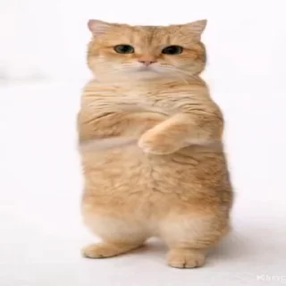 Video sticker 💋 𝘋𑣲𝘷𝘦'sVid