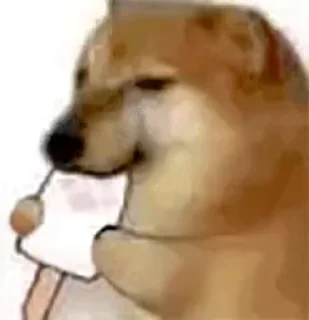 Video sticker 🐶 @ITZ_HYPER_XD's vɪᴅᴇᴏ ᴘᴀᴄᴋ (@HyperX_ROBOT)