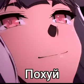 Video sticker 🗿 Маг целитель:Новый старт