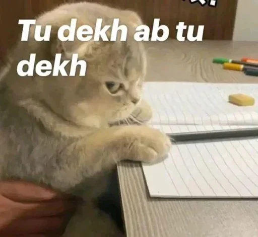 Телеграм стикер 😤 Random Memes [@Madstickerss]