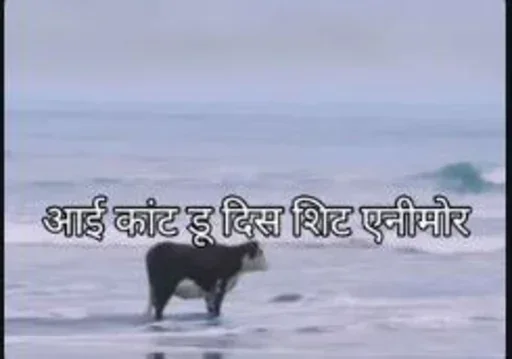 Телеграм стикер 😭 Random Memes [@Madstickerss]