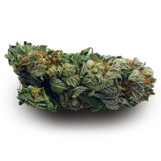 Telegram sticker 🍁 По пизде лодожкой