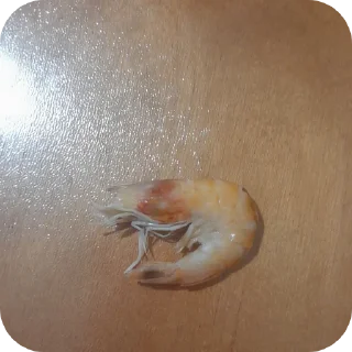 Video sticker 🔳 По пизде лодожкой