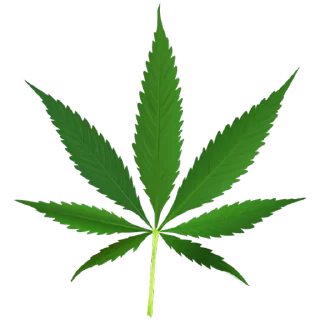Telegram sticker 🍁 По пизде лодожкой
