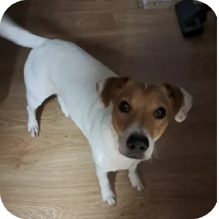 Video sticker 🔳 По пизде лодожкой