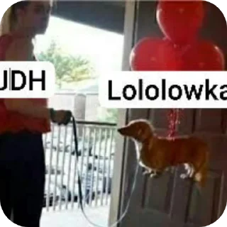 Video sticker 📦 Нету ручек нет конфетки