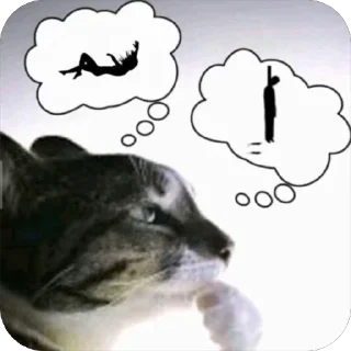 Video sticker 🫥 Стикеры!! :3