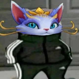Video sticker 🐱 midlane = جنده خونه (@GifStickerSazbot🌱)