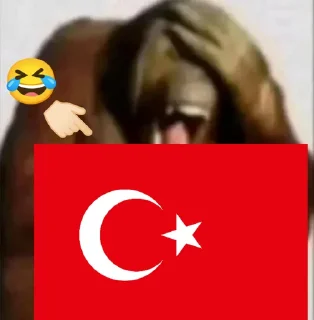 Telegram sticker 🤣 Random Bullshits @BOYSLEGION