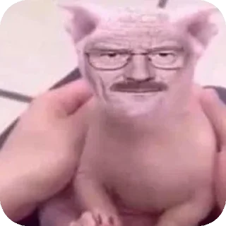 Telegram sticker ✋ Чота