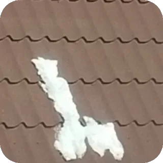 Video sticker 🌨 Чота