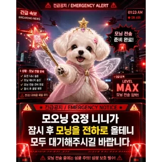 Video sticker 🆘 호민박이 최고임
